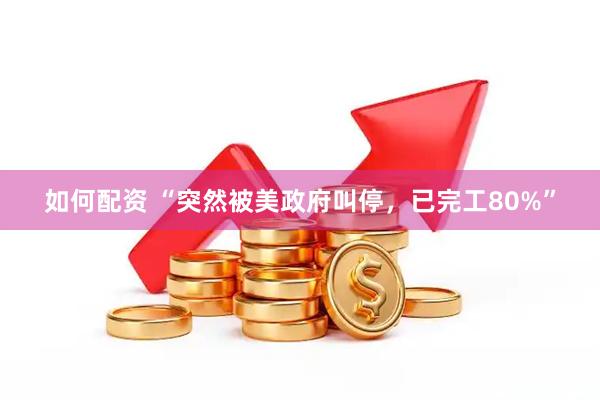 如何配资 “突然被美政府叫停，已完工80%”