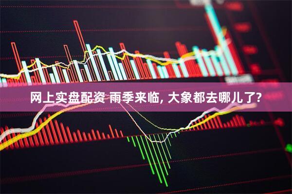 网上实盘配资 雨季来临, 大象都去哪儿了?