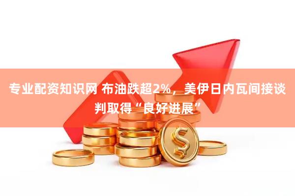 专业配资知识网 布油跌超2%，美伊日内瓦间接谈判取得“良好进展”