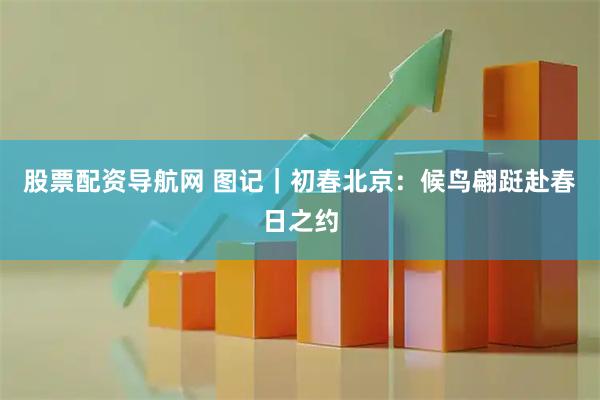 股票配资导航网 图记｜初春北京：候鸟翩跹赴春日之约