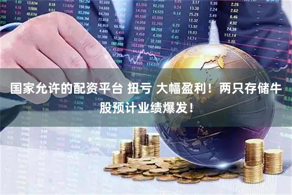 国家允许的配资平台 扭亏 大幅盈利！两只存储牛股预计业绩爆发！